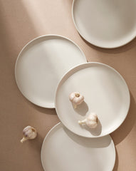 Stoneware Flat Dinner Plate | Edan 11.2
