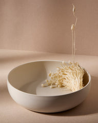 Stoneware Shallow Serving Bowl | EWA 60 oz